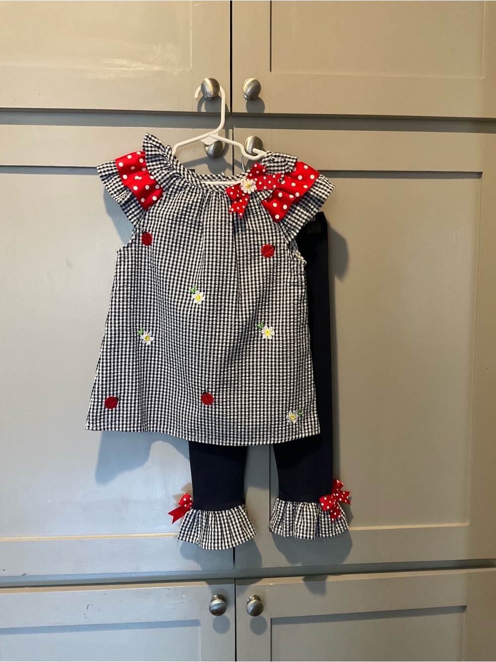 Rare Editions Girls Lady Bug and Daisy Seersucker Outfit